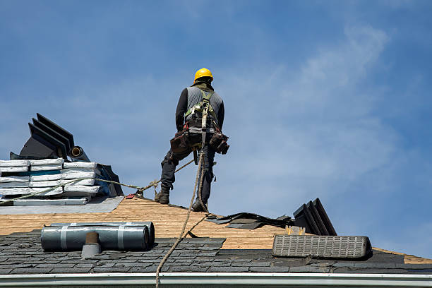Professional Storm Damage Roof Repair technician working in Wayland, MI